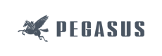 Pegasus Brand Logo